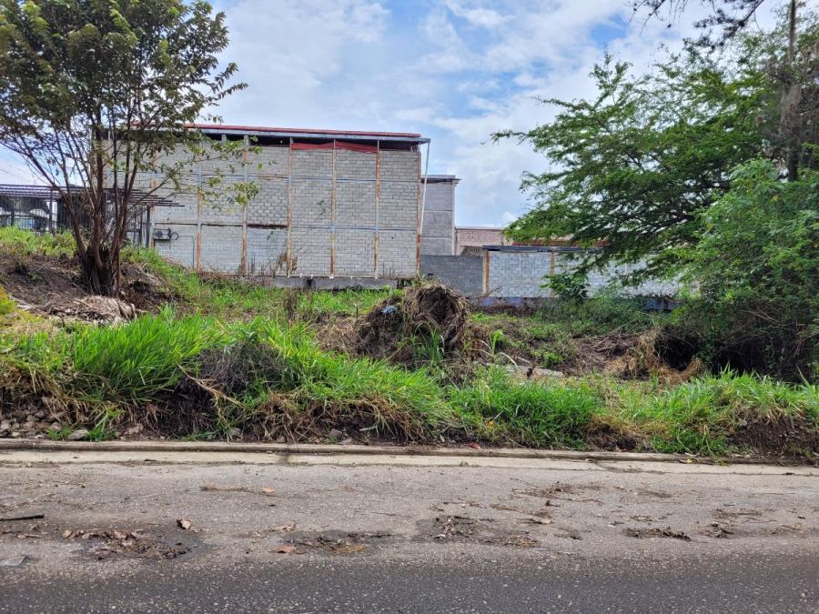 Foto Terreno en Venta en Mrida, Mrida - U$D 25.000 - TEV138591 - BienesOnLine