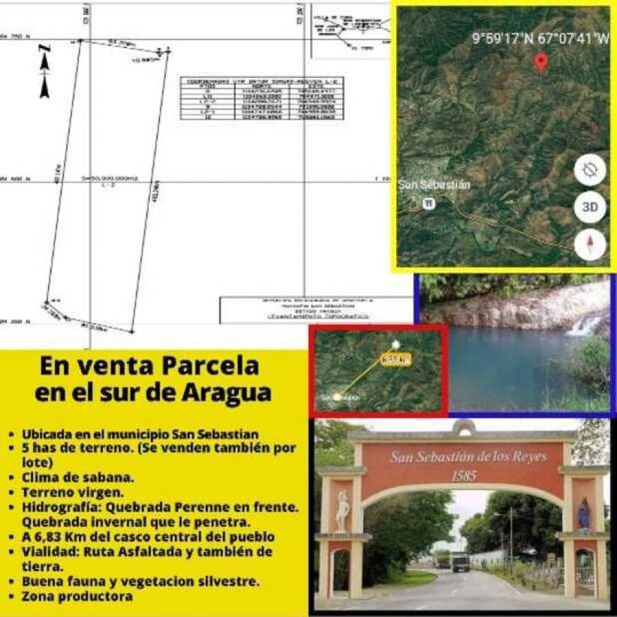 Foto Terreno en Venta en Guanasnal, San Sebastián, Aragua - 5 hectareas - U$D 4.000 - TEV194170 - BienesOnLine