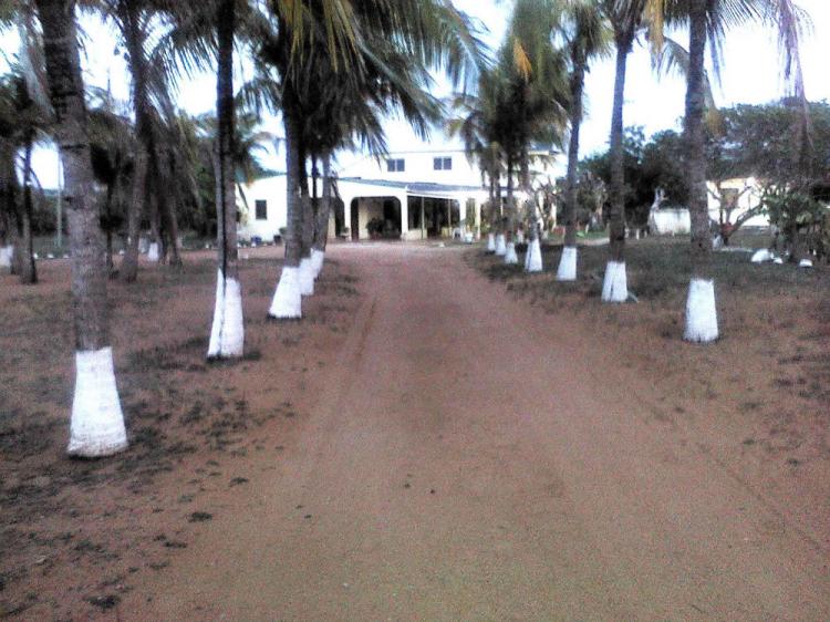 Home in Metric Way