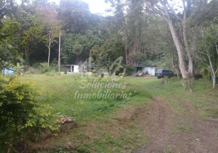 Foto Finca en Venta en Bejuma, Carabobo - U$D 140.000 - FIV152167 - BienesOnLine