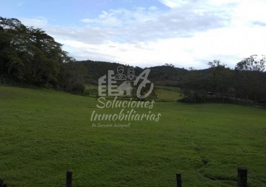 Foto Finca en Venta en Montalban, Carabobo,Montalban, Carabobo - U$D 5.000.000 - FIV152360 - BienesOnLine