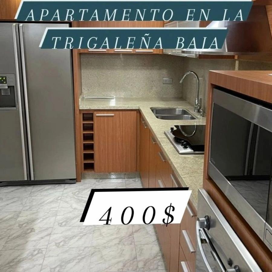 Foto Apartamento en Alquiler en La Trigalea, Valencia, Carabobo - U$D 400 - APA218644 - BienesOnLine