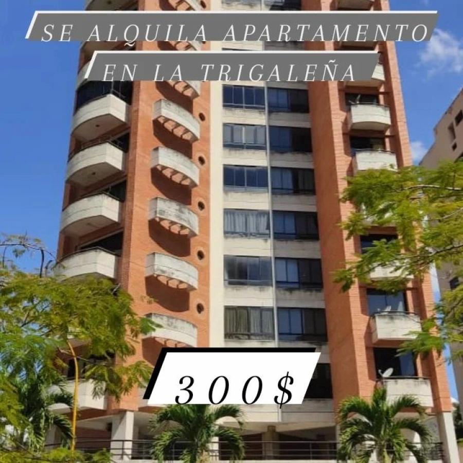 Foto Apartamento en Alquiler en La Trigalea, Valencia, Carabobo - U$D 300 - APA218986 - BienesOnLine