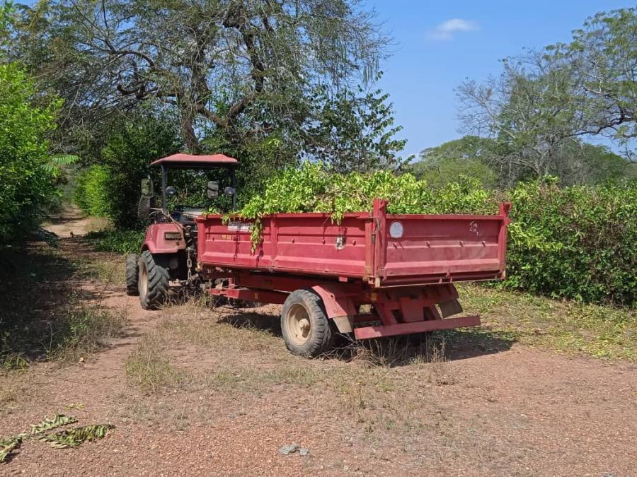 Foto Finca en Venta en @phagrovzla, 106 Hectreas, para Siembra y Ganadera, Cojedes - 106 hectareas - U$D 160.000 - FIV185449 - BienesOnLine