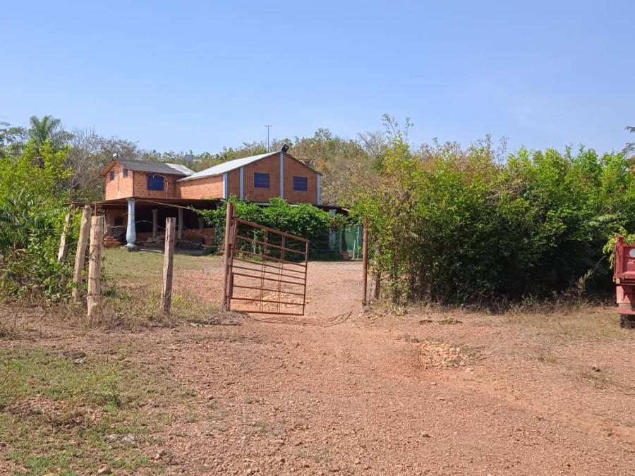 Foto Finca en Venta en @phagrovzla, 106 Hectreas, para Siembra y Ganadera, Cojedes - 106 hectareas - U$D 160.000 - FIV185447 - BienesOnLine