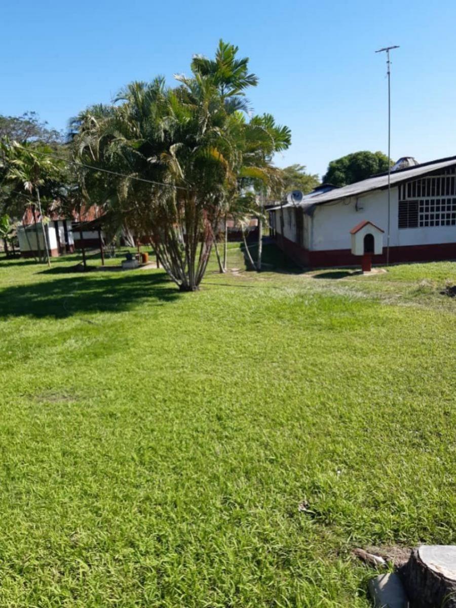 Foto Finca en Venta en @phagrovzla, Ganadera Cra Levante y Ceba Ordeo Bufalas, Barinas - 1300 hectareas - U$D 1.700.000 - FIV169539 - BienesOnLine