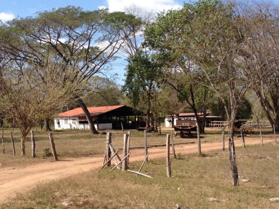 Foto Finca en Venta en @phagrovzla, 1.498 Hectreas, Cojedes Compaa Agropecuaria, Cojedes - U$D 400.000 - FIV219235 - BienesOnLine