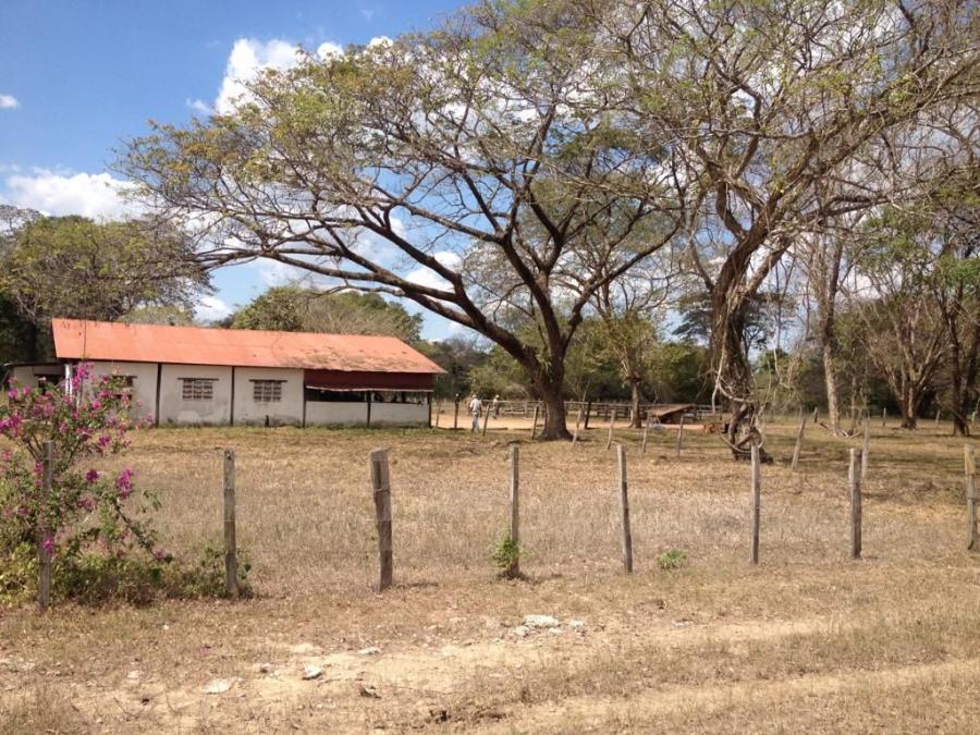 Foto Finca en Venta en @phagrovzla, 1.498 Hectreas, Compaa Agropecuaria, Cojedes - U$D 400.000 - FIV219234 - BienesOnLine