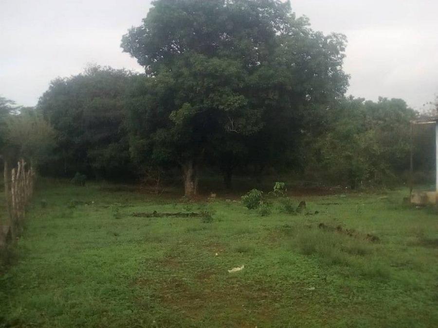 Foto Terreno en Venta en Yucatan, Lara - U$D 4.600 - TEV172674 - BienesOnLine