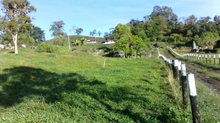 Foto Terreno en Venta en Mrida, Mrida - BsF 260 - TEV89848 - BienesOnLine