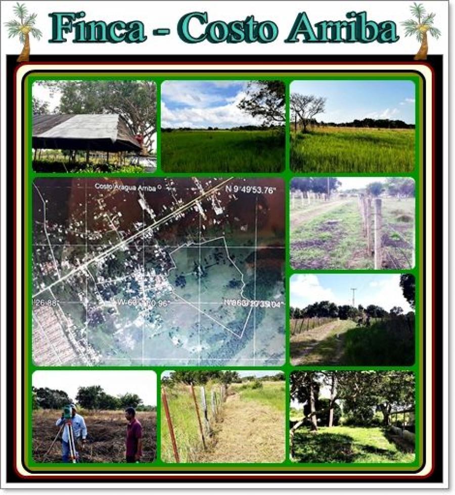 Foto Finca en Venta en Maturn, Maturn, Monagas - U$D 18.000 - FIV139595 - BienesOnLine