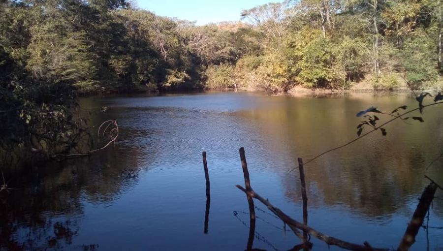 Foto Finca en Venta en San Casimiro, Aragua - 120 hectareas - U$D 60.000 - FIV191147 - BienesOnLine