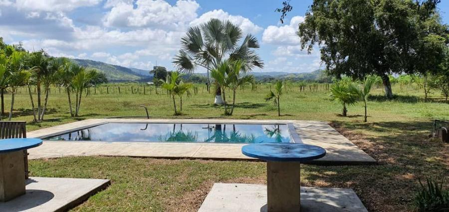 Foto Finca en Venta en @phagrovzla, 2.640 Hectreas, 700 Reses, 3 millones $, Cojedes - 2640 hectareas - U$D 3.000.000 - FIV187599 - BienesOnLine