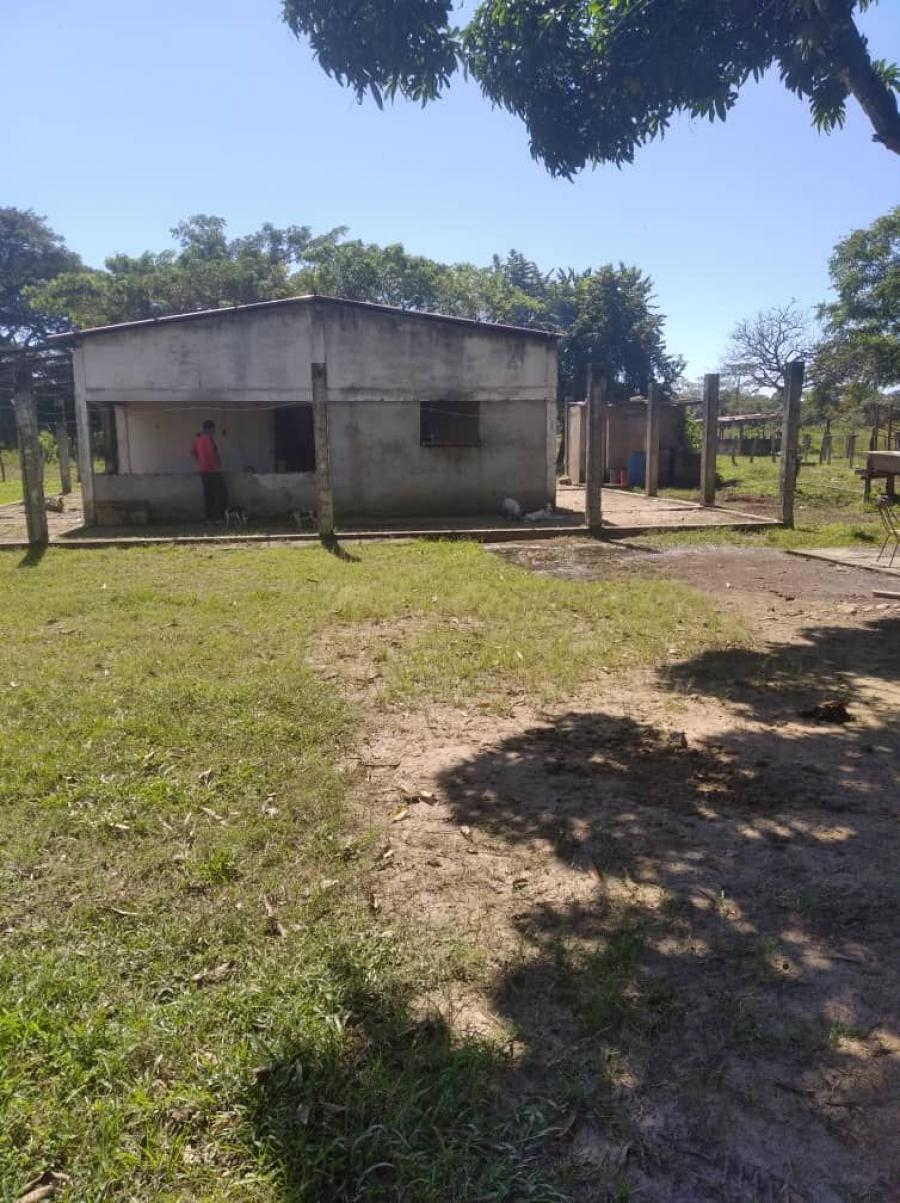 Foto Finca en Venta en 40 Hectreas, Disponible, FINCA 40 HECTREAS, SECTOR LA MENDOCERA, Barinas - U$D 40.000 - FIV139542 - BienesOnLine