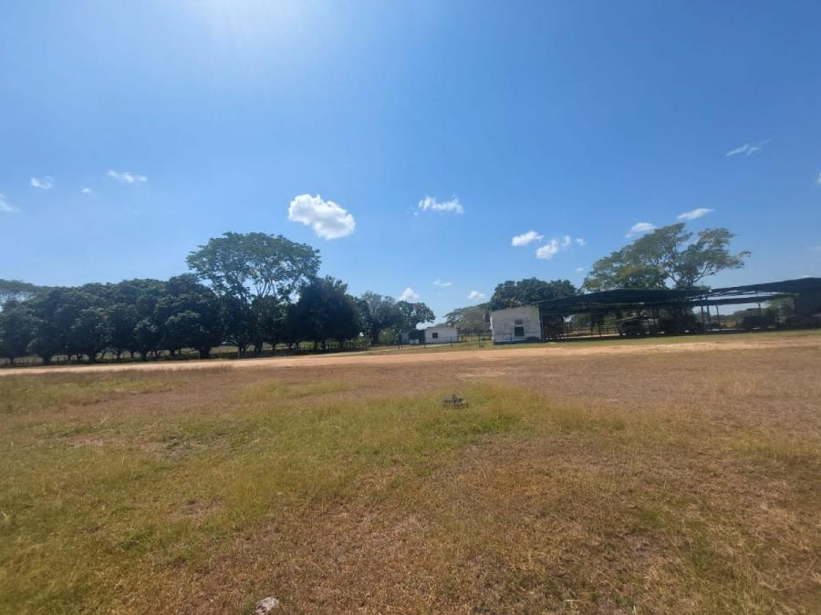 Foto Finca en Venta en @phagrovzla, 430 Hectreas para Ganadera y Agricultura 2024, Cojedes - 430 hectareas - U$D 1.350.000 - FIV213665 - BienesOnLine