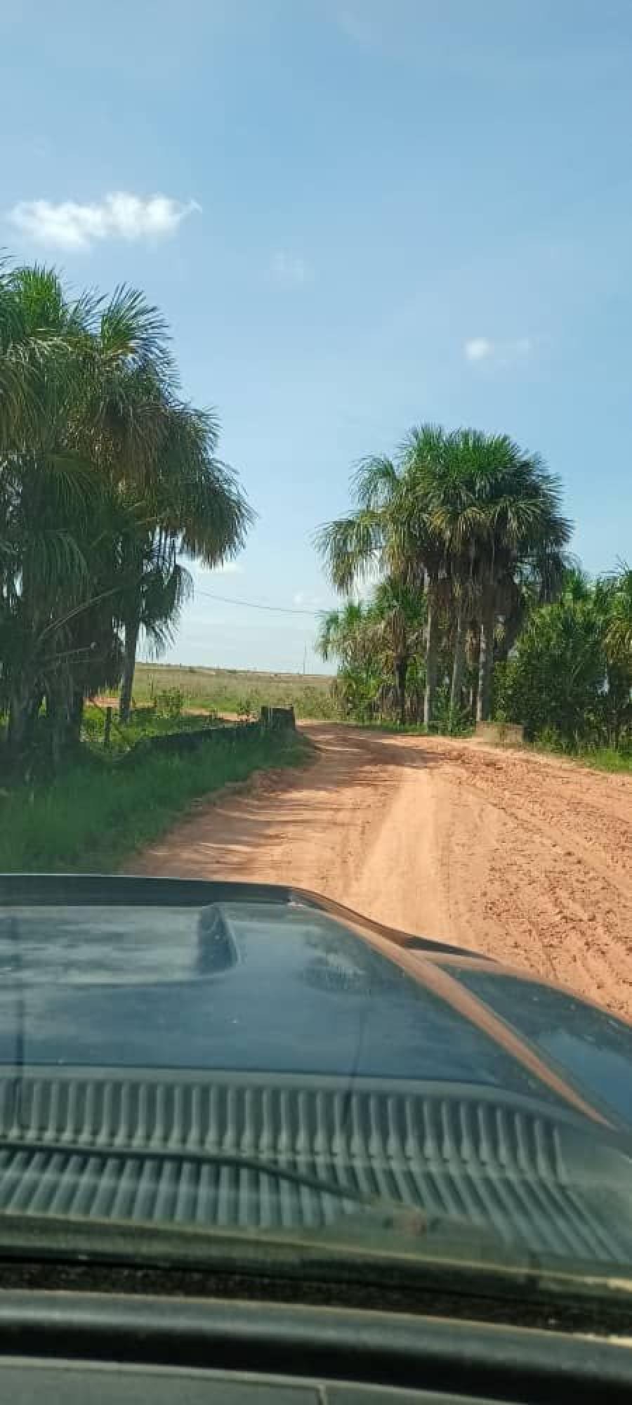 Foto Finca en Venta en @phagrovzla, Achaguas, Apure - 930 hectareas - U$D 420.000 - FIV187262 - BienesOnLine