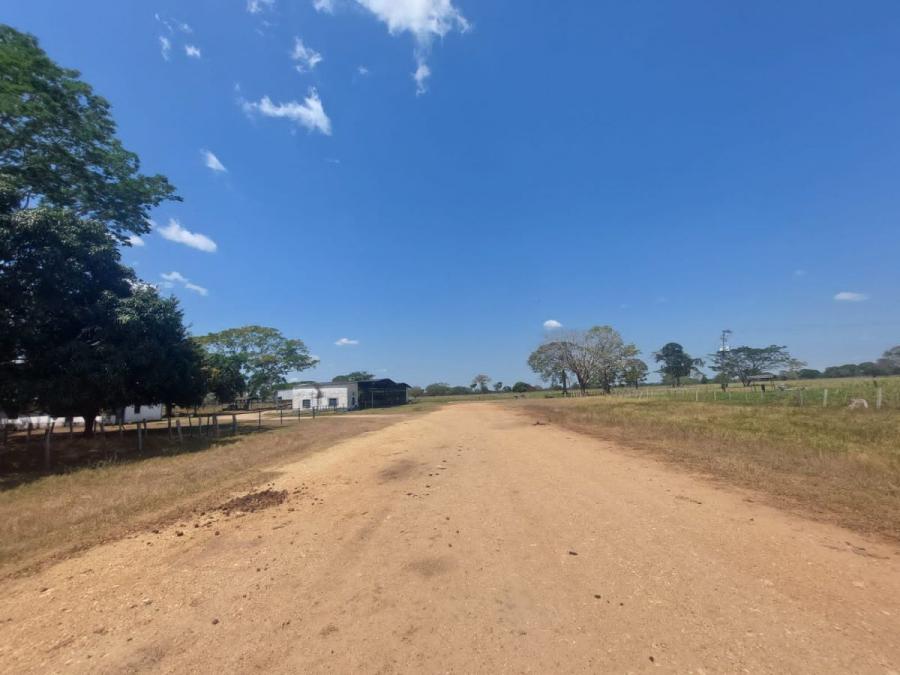 Foto Finca en Venta en @phagrovzla, 430 Hectreas para Ganadera y Agricultura 2024, Cojedes - 430 hectareas - U$D 1.350.000 - FIV213652 - BienesOnLine