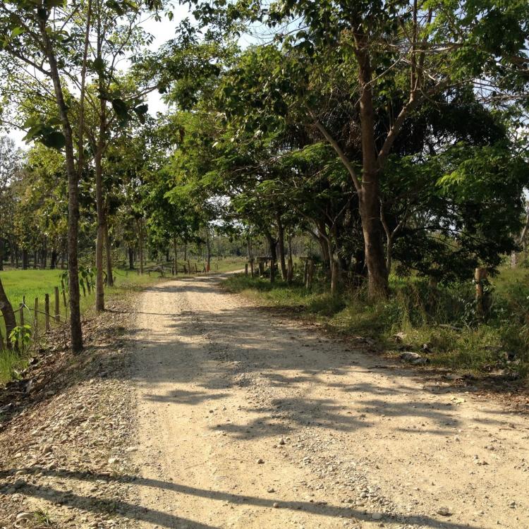 Foto Hacienda en Venta en Socop, Socop, Barinas - 7 hectareas - BsF 315.000.000 - HAV101321 - BienesOnLine