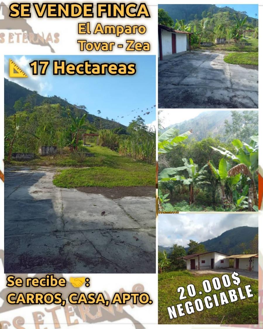 Foto Finca en Venta en Tovar, El Amparo, Mrida - U$D 20.000 - FIV220928 - BienesOnLine