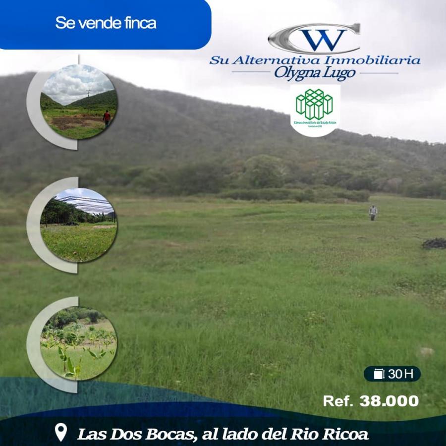 Foto Finca en Venta en Coro, Falcn - 32 hectareas - FIV168231 - BienesOnLine