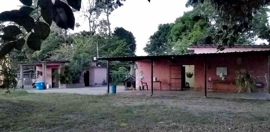 Foto Finca en Venta en Maturn, Maturn, Monagas - BsF 10.000 - FIV121177 - BienesOnLine