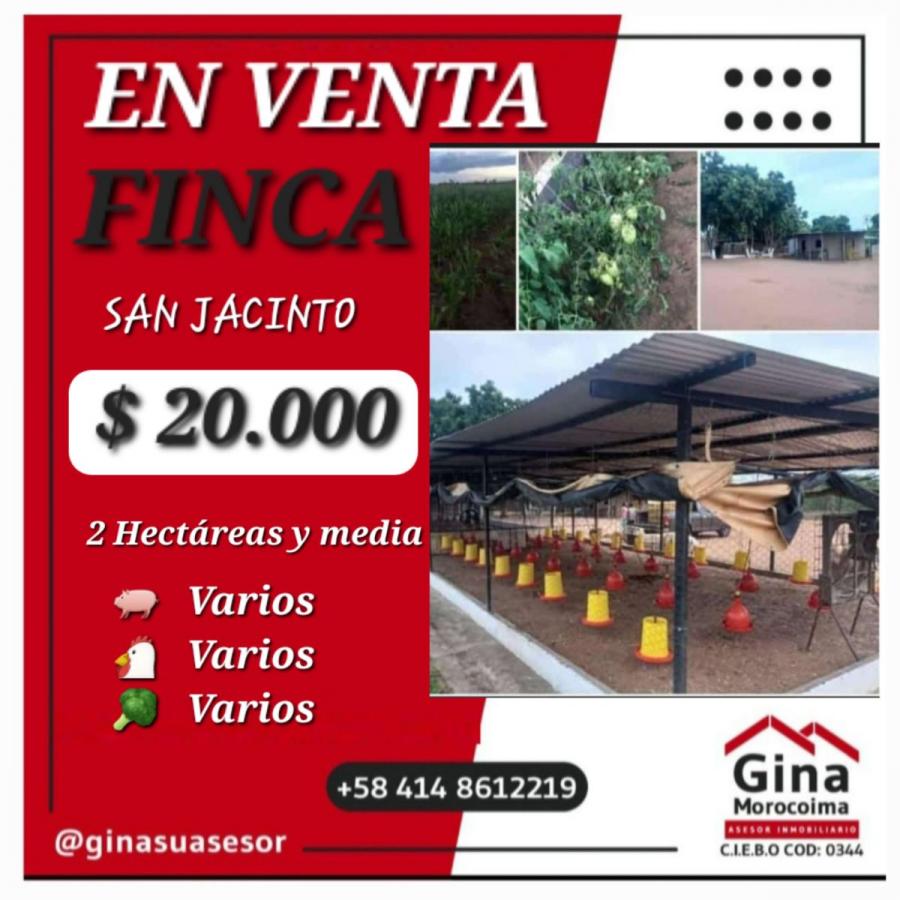 Foto Finca en Venta en Bolivar, Ciudad Guayana, Bolvar - U$D 20.000 - FIV212541 - BienesOnLine