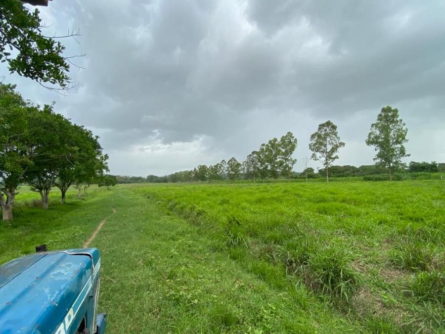 Foto Finca en Venta en @phagrovzla, Valencia, Carabobo - 50 hectareas - U$D 250.000 - FIV187429 - BienesOnLine