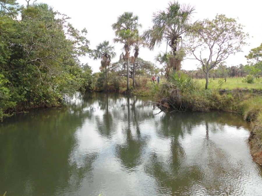 Foto Finca en Venta en @phagrovzla, Finca Ganadera, Agrcola, Forestal y Turstica, Gurico - U$D 1.300.000 - FIV167877 - BienesOnLine