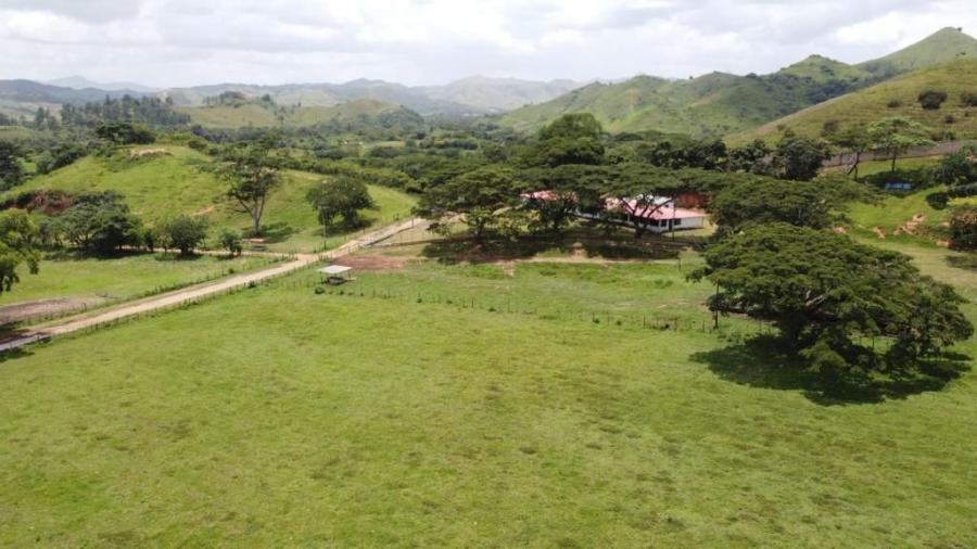 Foto Finca en Venta en Municipio Carlos Arvelo, Gige, Carabobo - 267 hectareas - U$D 350.000 - FIV210305 - BienesOnLine