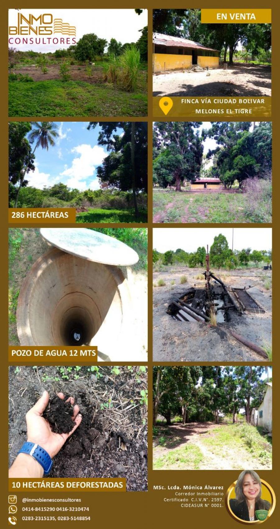 Foto Finca en Venta en El Tigre, Anzotegui - 286 hectareas - U$D 15.000 - FIV200278 - BienesOnLine