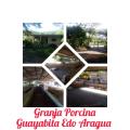 Finca en Venta en @phagrovzla Granja Porcina en Venta Aragua