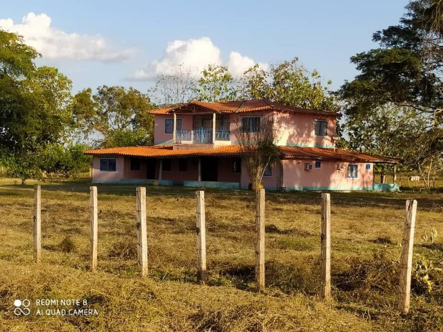 Foto Finca en Venta en @phagrovzla, Equipos para Producir Maz, Arroz, Corte de Pasto, Portuguesa - 5600 hectareas - U$D 8.000.000 - FIV169376 - BienesOnLine