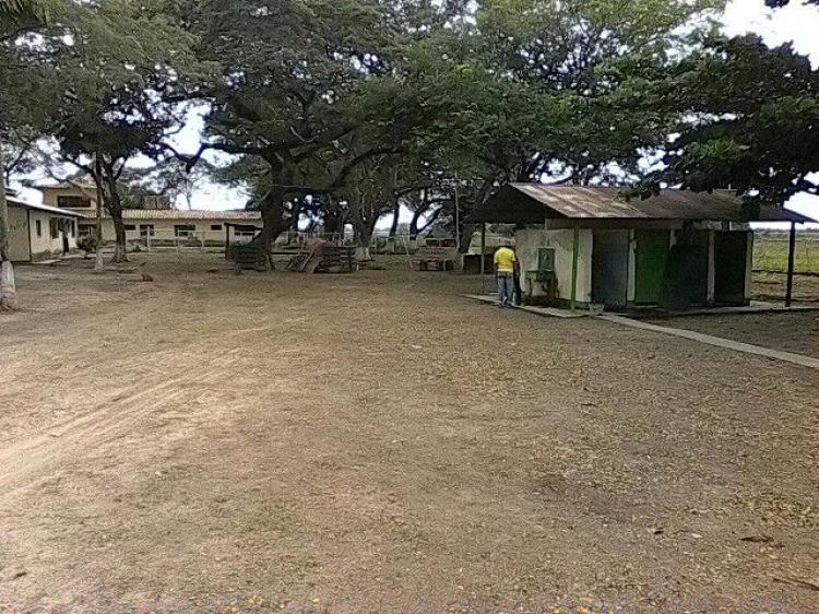 Foto Hacienda en Venta en Apure, Apure, Apure - 50000 hectareas - BsF 160.000.000.000.000.000 - HAV105466 - BienesOnLine