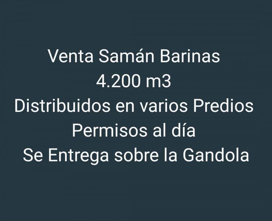 Foto Finca en Venta en @phagrovzla, Venta de Samn 4.200 m3, Barinas - U$D 100 - FIV184365 - BienesOnLine