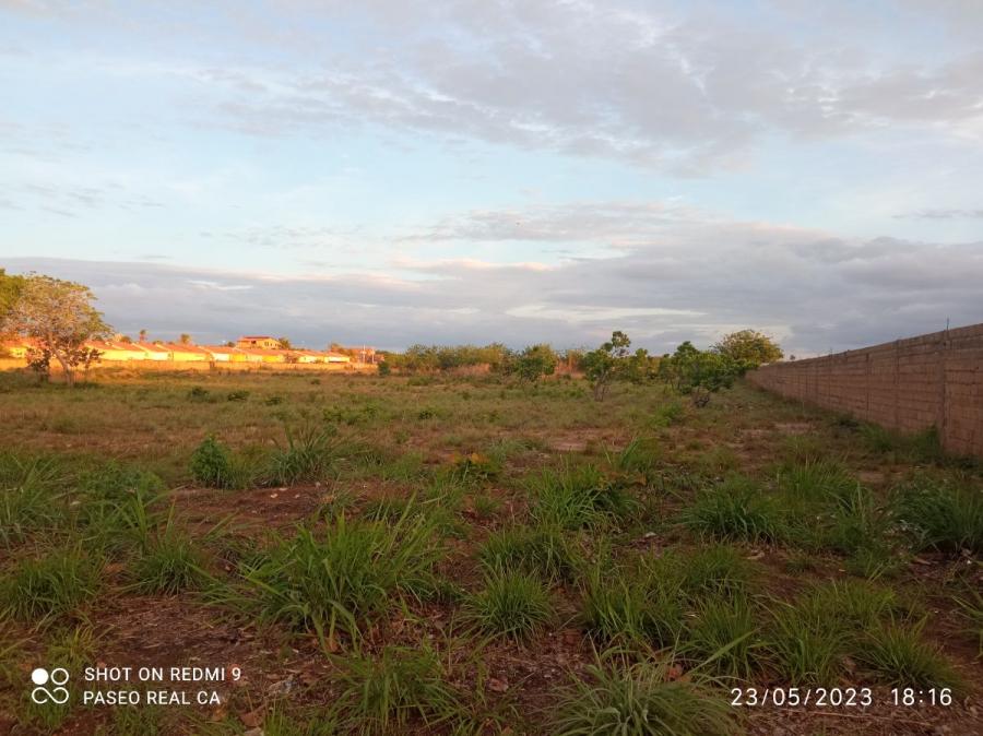 Foto Terreno en Venta en El Tigre, Anzotegui - U$D 600.000 - TEV197264 - BienesOnLine