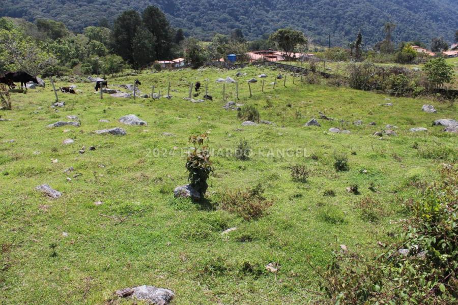 Foto Terreno en Venta en el Valle, Mérida, Mérida - U$D 25.000 - TEV231409 - BienesOnLine