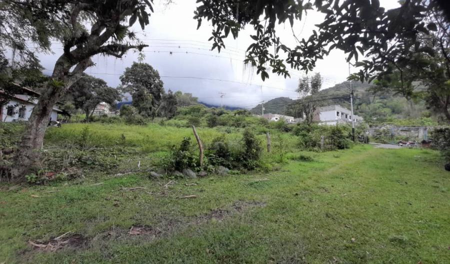 Foto Terreno en Venta en La Pedregosa, Mrida - U$D 12.000 - TEV196111 - BienesOnLine