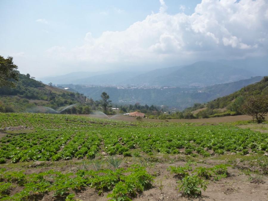 Foto Terreno en Venta en Mrida, Mrida - U$D 5.000 - TEV170691 - BienesOnLine