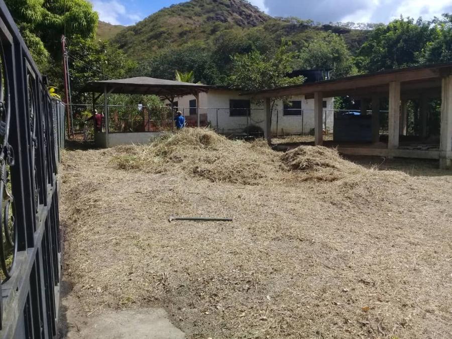 Foto Terreno en Venta en Bejuma, Carabobo - U$D 20.500 - TEV142091 - BienesOnLine