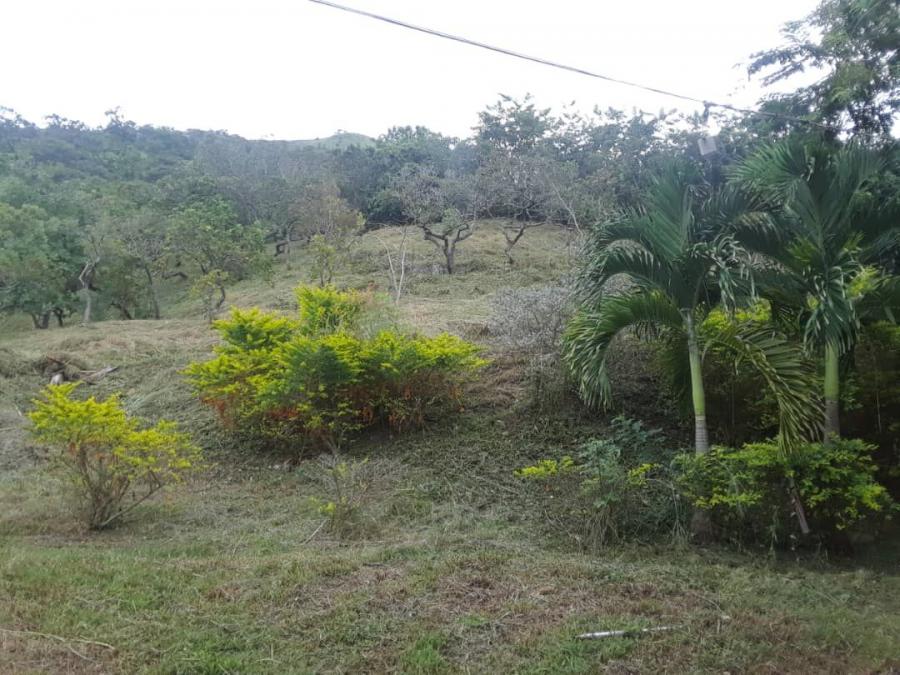 Foto Terreno en Venta en san diego, san diego la cumaca, Carabobo - U$D 18.500 - TEV130576 - BienesOnLine