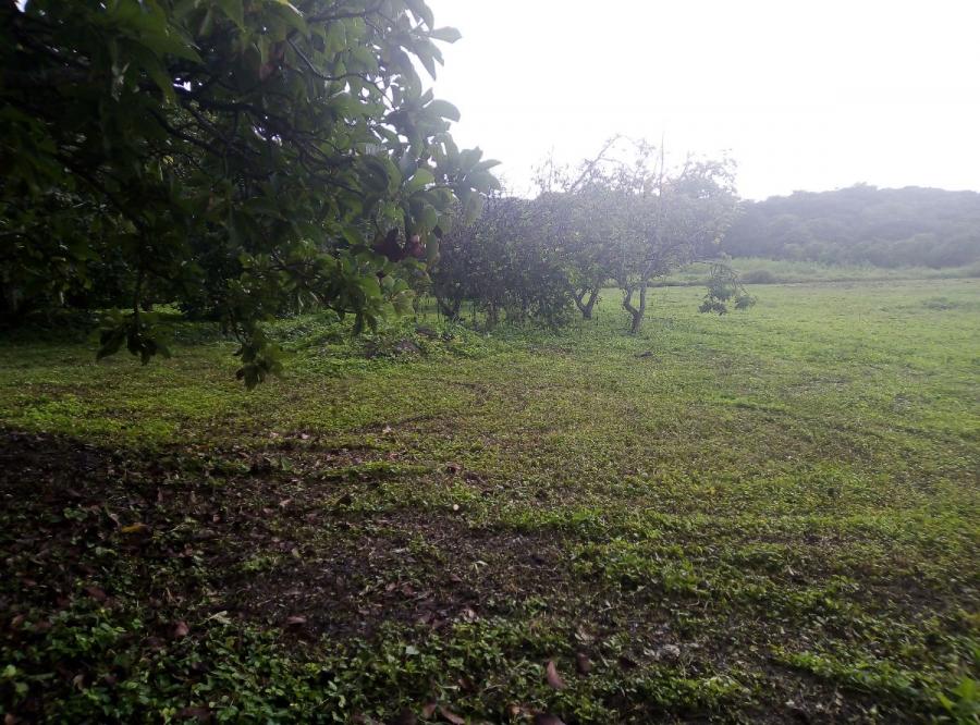 Foto Finca en Venta en Santa Cruz, Aragua - U$D 6.000 - FIV212964 - BienesOnLine