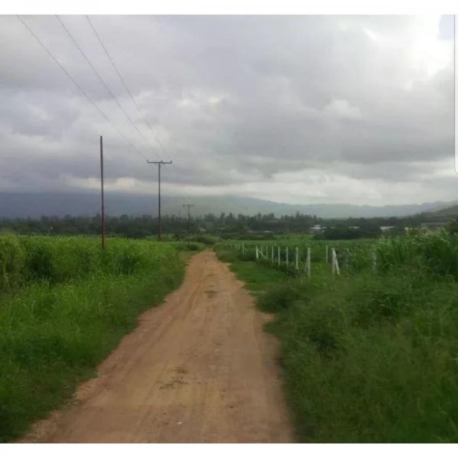 Foto Terreno en Venta en Bejuma, Bejuma, Carabobo - U$D 13.000 - TEV161809 - BienesOnLine