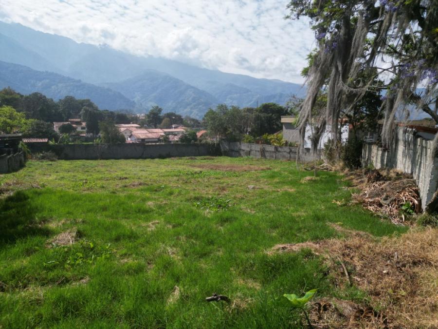 Foto Terreno en Venta en Mrida, Mrida - U$D 80.000 - TEV196002 - BienesOnLine