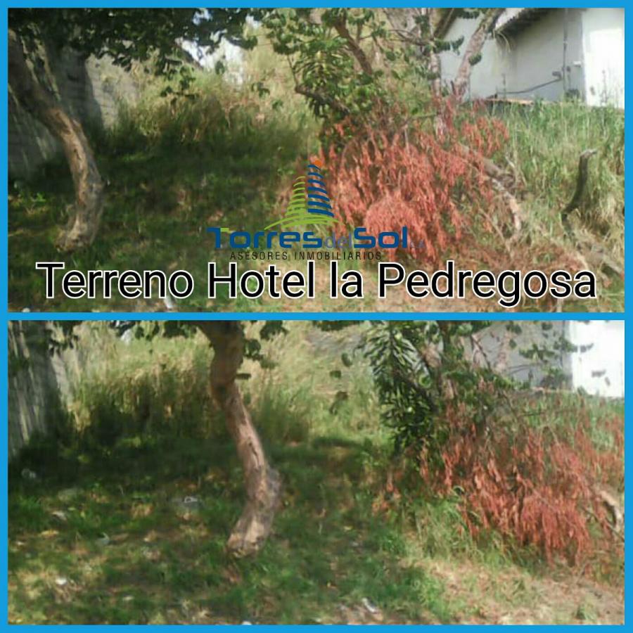 Foto Terreno en Venta en Mrida, Mrida, Mrida - TEV116087 - BienesOnLine