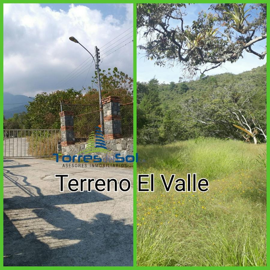 Foto Terreno en Venta en Mrida, Mrida, Mrida - TEV116088 - BienesOnLine