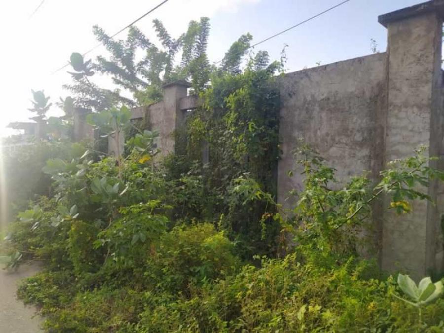 Foto Terreno en Venta en El Tirano, La Plaza de Paraguach, Nueva Esparta - U$D 8.000 - TEV190386 - BienesOnLine