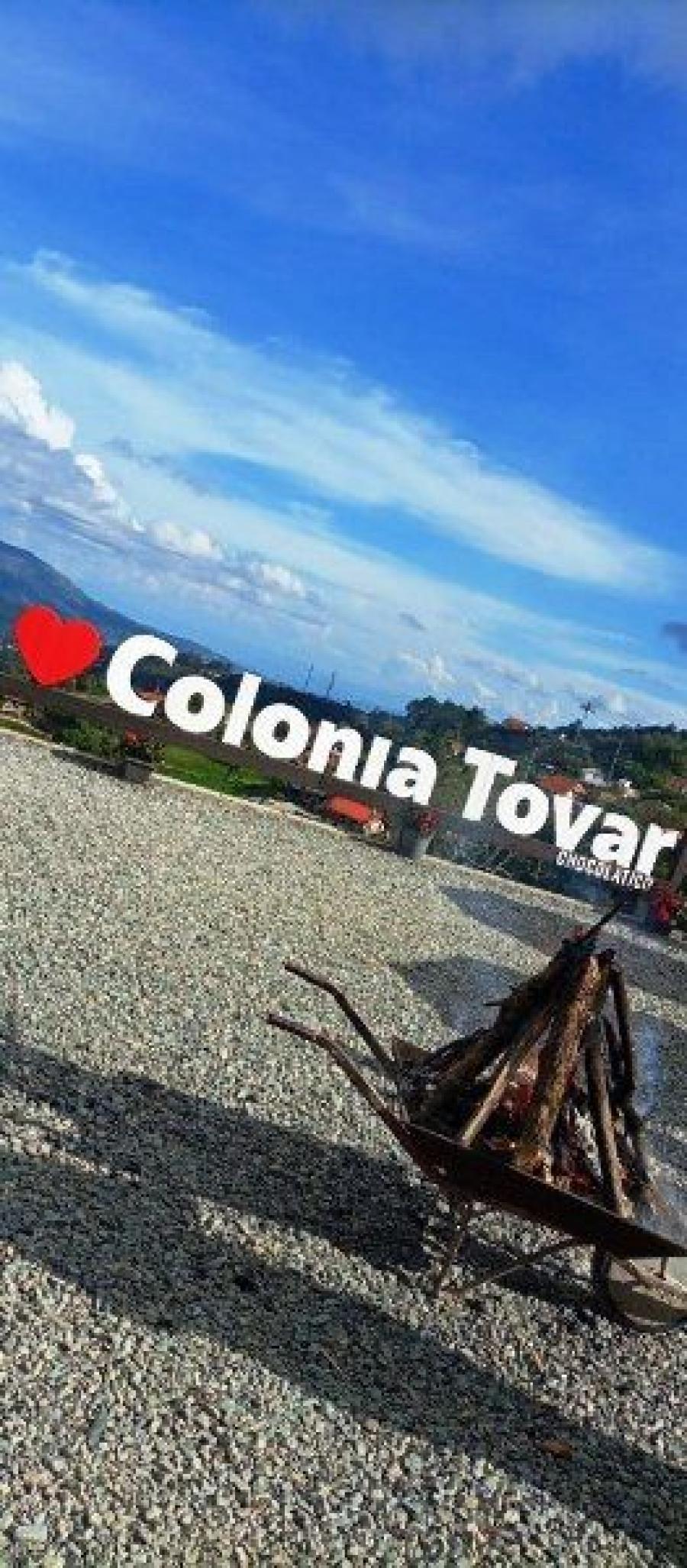 Foto Terreno en Venta en Colonia Tovar, Aragua - U$D 35.000 - TEV165814 - BienesOnLine