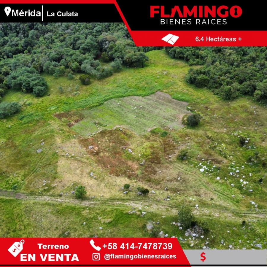 Foto Terreno en Venta en merida, Mrida - U$D 160.000 - TEV220753 - BienesOnLine