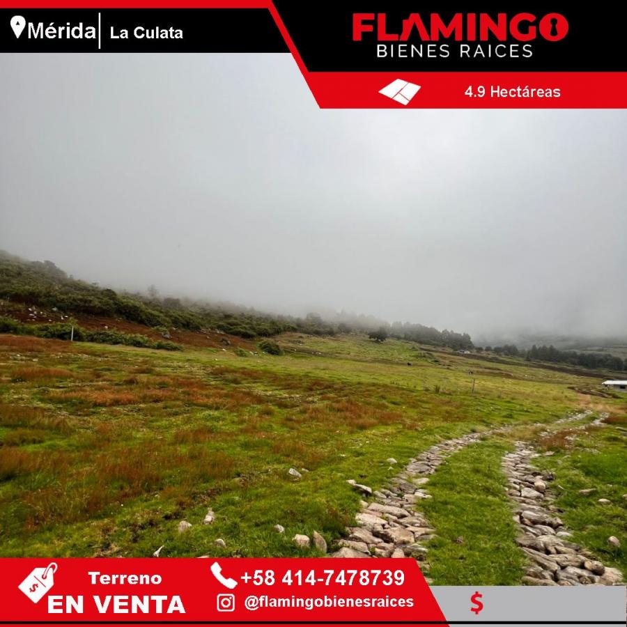 Foto Terreno en Venta en Mrida, Mrida - 4 hectareas - U$D 160.000 - TEV220756 - BienesOnLine