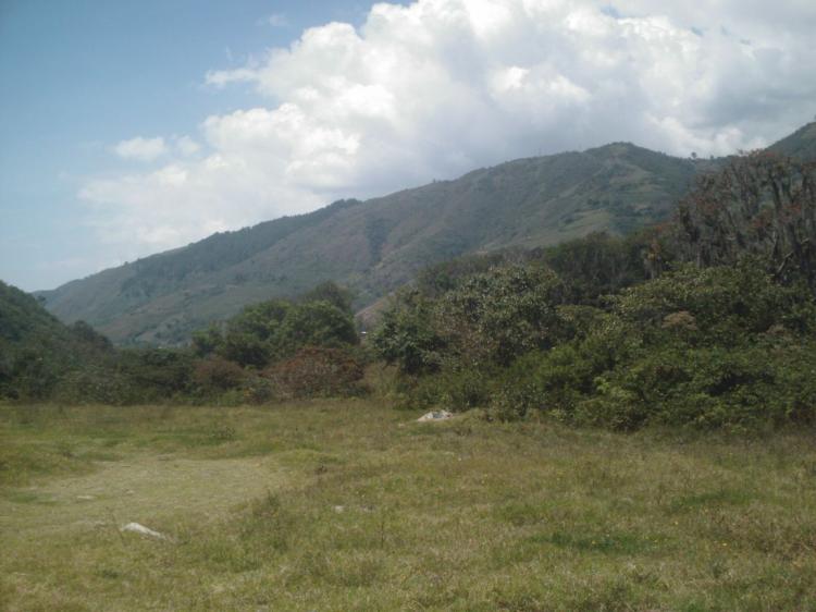 Foto Terreno en Venta en Tabay, Tabay, Mrida - BsF 160.000.000 - TEV77022 - BienesOnLine